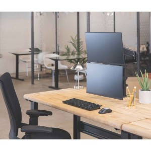 Platinum arm for 2 monitors vertical