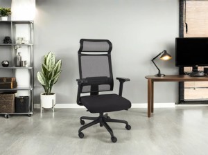 Ergofix office chair